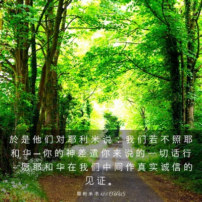 Picture 03 - 耶 利 米 书 42:5 CUVS - 於 是 他 们 对 耶 利 米 说 ： 我 们 - Bible Verse Picture