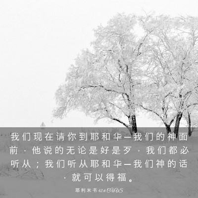 Picture 03 - 耶 利 米 书 42:6 CUVS - 我 们 现 在 请 你 到 耶 和 华 ─ 我 - Bible Verse Picture