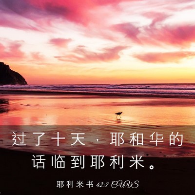 Picture 03 - 耶 利 米 书 42:7 CUVS - 过 了 十 天 ， 耶 和 华 的 话 临 到 - Bible Verse Picture