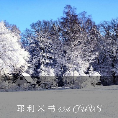 Picture 03 - 耶 利 米 书 43:6 CUVS -  - Bible Verse Picture
