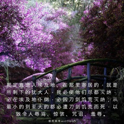 Picture 03 - 耶 利 米 书 44:12 CUVS - 那 定 意 进 入 埃 及 地 、 在 那 里 - Bible Verse Picture