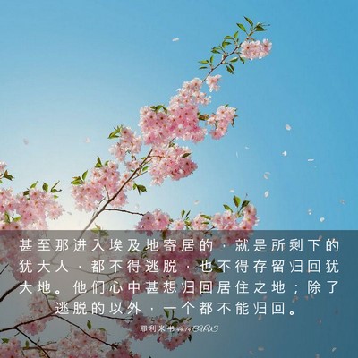 Picture 03 - 耶 利 米 书 44:14 CUVS - 甚 至 那 进 入 埃 及 地 寄 居 的 ， - Bible Verse Picture