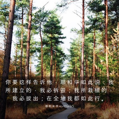 Picture 03 - 耶 利 米 书 45:4 CUVS - 你 要 这 样 告 诉 他 ， 耶 和 华 如 - Bible Verse Picture