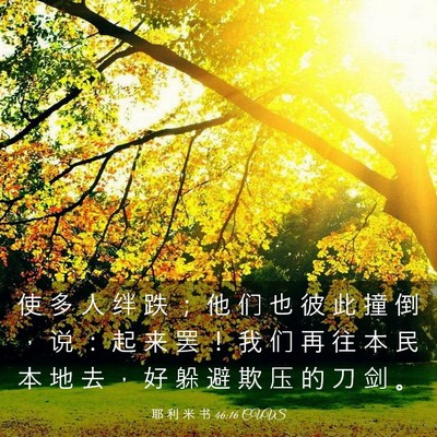 Picture 03 - 耶 利 米 书 46:16 CUVS - 使 多 人 绊 跌 ； 他 们 也 彼 此 撞 - Bible Verse Picture