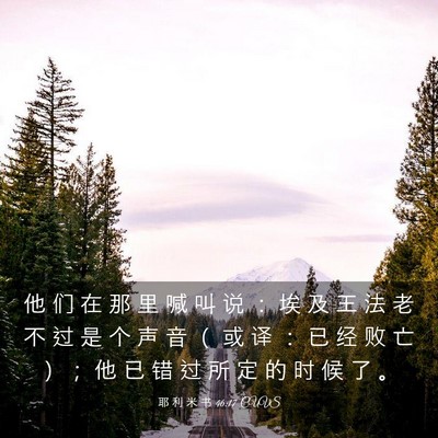 Picture 03 - 耶 利 米 书 46:17 CUVS - 他 们 在 那 里 喊 叫 说 ： 埃 及 王 - Bible Verse Picture