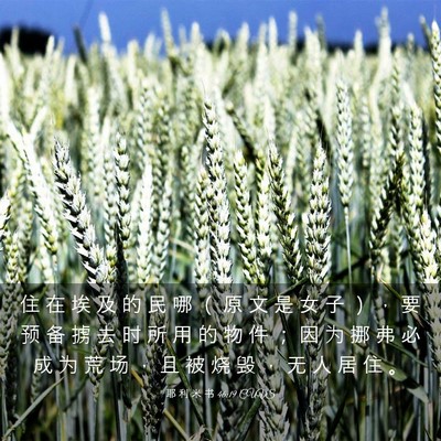 Picture 03 - 耶 利 米 书 46:19 CUVS - 住 在 埃 及 的 民 哪 （ 原 文 是 女 - Bible Verse Picture