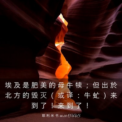 Picture 03 - 耶 利 米 书 46:20 CUVS - 埃 及 是 肥 美 的 母 牛 犊 ； 但 出 - Bible Verse Picture
