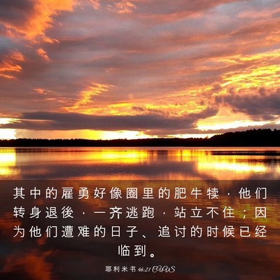 Picture 03 - 耶 利 米 书 46:21 CUVS - 其 中 的 雇 勇 好 像 圈 里 的 肥 牛 - Bible Verse Picture