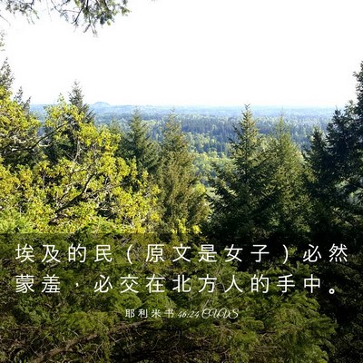 Picture 03 - 耶 利 米 书 46:24 CUVS - 埃 及 的 民 （ 原 文 是 女 子 ） 必 - Bible Verse Picture