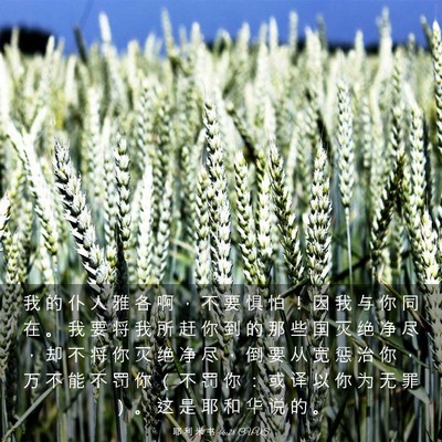 Picture 03 - 耶 利 米 书 46:28 CUVS - 我 的 仆 人 雅 各 啊 ， 不 要 惧 怕 - Bible Verse Picture