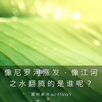 Picture 03 - 耶 利 米 书 46:7 CUVS - 像 尼 罗 河 涨 发 ， 像 江 河 之 水 - Bible Verse Picture