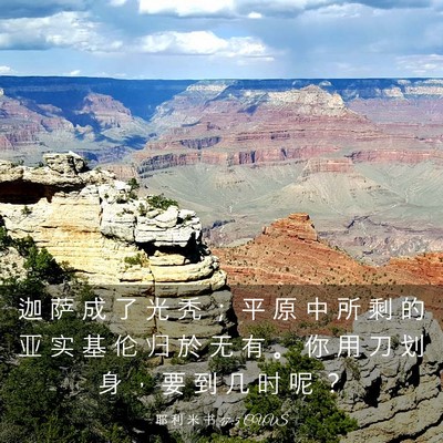 Picture 03 - 耶 利 米 书 47:5 CUVS - 迦 萨 成 了 光 秃 ； 平 原 中 所 剩 - Bible Verse Picture