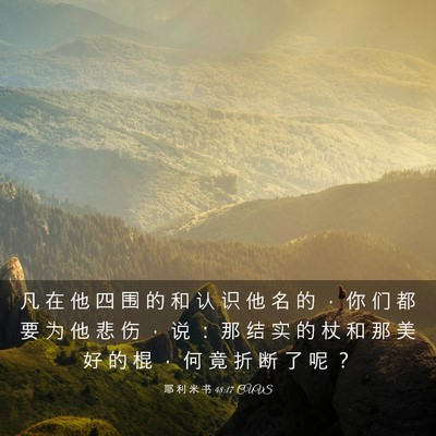 Picture 03 - 耶 利 米 书 48:17 CUVS - 凡 在 他 四 围 的 和 认 识 他 名 的 - Bible Verse Picture