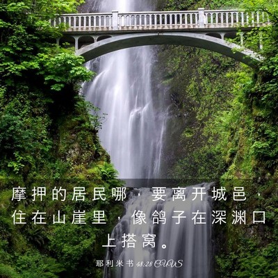 Picture 03 - 耶 利 米 书 48:28 CUVS - 摩 押 的 居 民 哪 ， 要 离 开 城 邑 - Bible Verse Picture