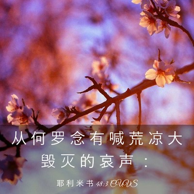Picture 03 - 耶 利 米 书 48:3 CUVS - 从 何 罗 念 有 喊 荒 凉 大 毁 灭 的 - Bible Verse Picture