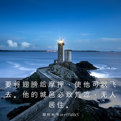 Picture 03 - 耶 利 米 书 48:9 CUVS - 要 将 翅 膀 给 摩 押 ， 使 他 可 以 - Bible Verse Picture
