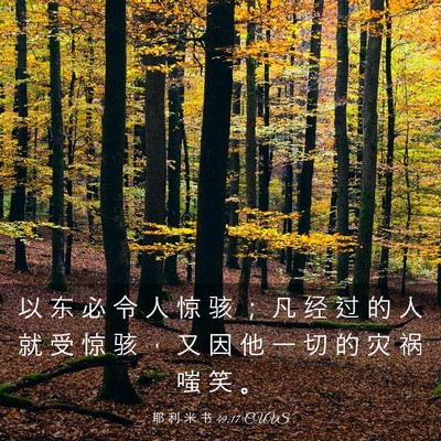Picture 03 - 耶 利 米 书 49:17 CUVS - 以 东 必 令 人 惊 骇 ； 凡 经 过 的 - Bible Verse Picture