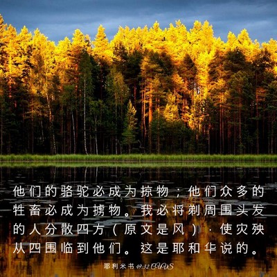 Picture 03 - 耶 利 米 书 49:32 CUVS - 他 们 的 骆 驼 必 成 为 掠 物 ； 他 - Bible Verse Picture