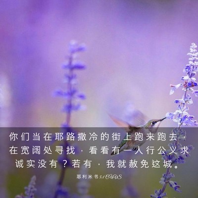 Picture 03 - 耶 利 米 书 5:1 CUVS - 你 们 当 在 耶 路 撒 冷 的 街 上 跑 - Bible Verse Picture
