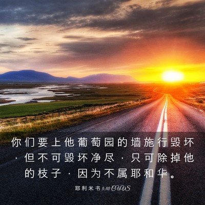 Picture 03 - 耶 利 米 书 5:10 CUVS - 你 们 要 上 他 葡 萄 园 的 墙 施 行 - Bible Verse Picture