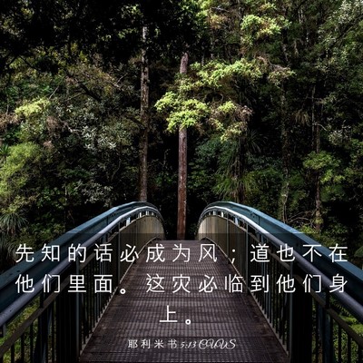 Picture 03 - 耶 利 米 书 5:13 CUVS - 先 知 的 话 必 成 为 风 ； 道 也 不 - Bible Verse Picture