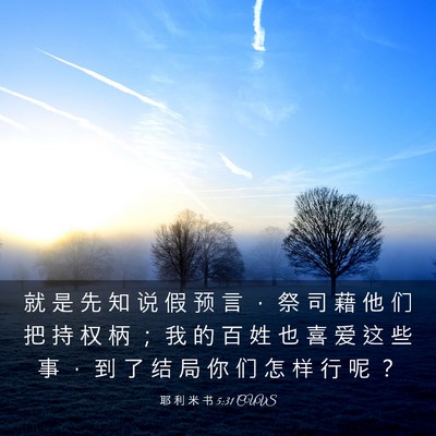 Picture 03 - 耶 利 米 书 5:31 CUVS - 就 是 先 知 说 假 预 言 ， 祭 司 藉 - Bible Verse Picture