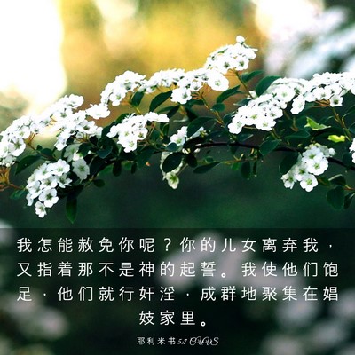 Picture 03 - 耶 利 米 书 5:7 CUVS - 我 怎 能 赦 免 你 呢 ？ 你 的 儿 女 - Bible Verse Picture