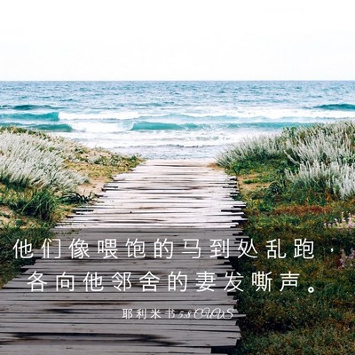 Picture 03 - 耶 利 米 书 5:8 CUVS - 他 们 像 喂 饱 的 马 到 处 乱 跑 ， - Bible Verse Picture