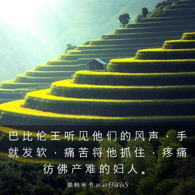 Picture 03 - 耶 利 米 书 50:43 CUVS - 巴 比 伦 王 听 见 他 们 的 风 声 ， - Bible Verse Picture