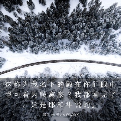 Picture 03 - 耶 利 米 书 7:11 CUVS - 这 称 为 我 名 下 的 殿 在 你 们 眼 - Bible Verse Picture