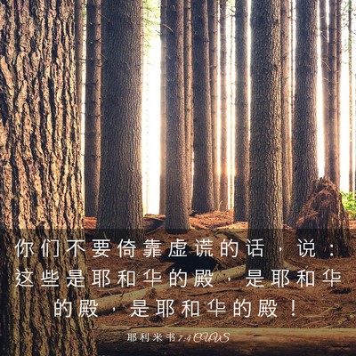 Picture 03 - 耶 利 米 书 7:4 CUVS - 你 们 不 要 倚 靠 虚 谎 的 话 ， 说 - Bible Verse Picture