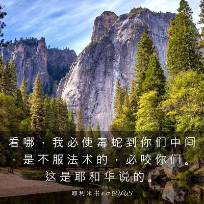 Picture 03 - 耶 利 米 书 8:17 CUVS - 看 哪 ， 我 必 使 毒 蛇 到 你 们 中 - Bible Verse Picture