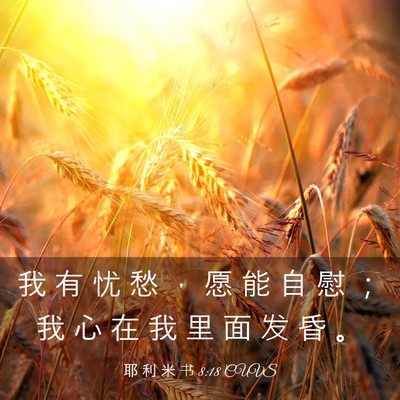 Picture 03 - 耶 利 米 书 8:18 CUVS - 我 有 忧 愁 ， 愿 能 自 慰 ； 我 心 - Bible Verse Picture