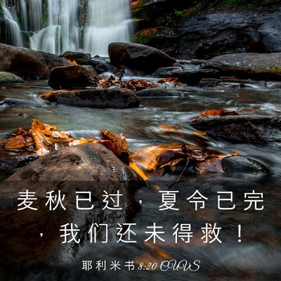 Picture 03 - 耶 利 米 书 8:20 CUVS - 麦 秋 已 过 ， 夏 令 已 完 ， 我 们 - Bible Verse Picture