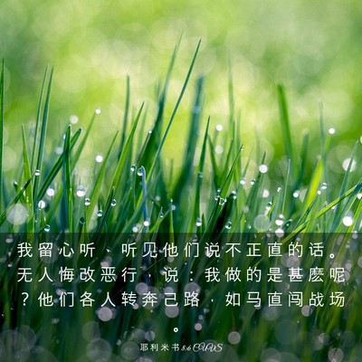 Picture 03 - 耶 利 米 书 8:6 CUVS - 我 留 心 听 ， 听 见 他 们 说 不 正 - Bible Verse Picture