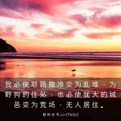 Picture 03 - 耶 利 米 书 9:11 CUVS - 我 必 使 耶 路 撒 冷 变 为 乱 堆 ， - Bible Verse Picture