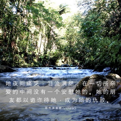 Picture 03 - 耶 利 米 哀 歌 1:2 CUVS - 她 夜 间 痛 哭 ， 泪 流 满 腮 ； 在 - Bible Verse Picture