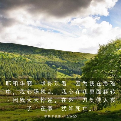 Picture 03 - 耶 利 米 哀 歌 1:20 CUVS - 耶 和 华 啊 ， 求 你 观 看 ， 因 为 - Bible Verse Picture