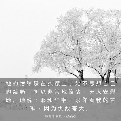 Picture 03 - 耶 利 米 哀 歌 1:9 CUVS - 她 的 污 秽 是 在 衣 襟 上 ； 她 不 - Bible Verse Picture