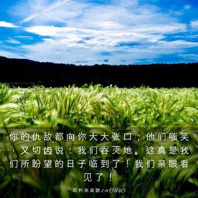 Picture 03 - 耶 利 米 哀 歌 2:16 CUVS - 你 的 仇 敌 都 向 你 大 大 张 口 ； - Bible Verse Picture