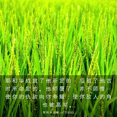 Picture 03 - 耶 利 米 哀 歌 2:17 CUVS - 耶 和 华 成 就 了 他 所 定 的 ， 应 - Bible Verse Picture