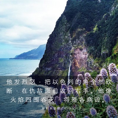 Picture 03 - 耶 利 米 哀 歌 2:3 CUVS - 他 发 烈 怒 ， 把 以 色 列 的 角 全 - Bible Verse Picture