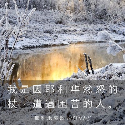 Picture 03 - 耶 利 米 哀 歌 3:1 CUVS - 我 是 因 耶 和 华 忿 怒 的 杖 ， 遭 - Bible Verse Picture