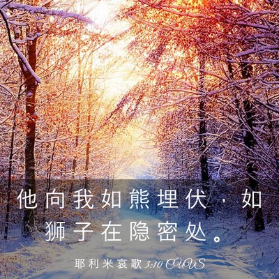 Picture 03 - 耶 利 米 哀 歌 3:10 CUVS - 他 向 我 如 熊 埋 伏 ， 如 狮 子 在 - Bible Verse Picture