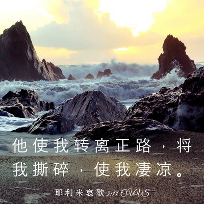 Picture 03 - 耶 利 米 哀 歌 3:11 CUVS - 他 使 我 转 离 正 路 ， 将 我 撕 碎 - Bible Verse Picture