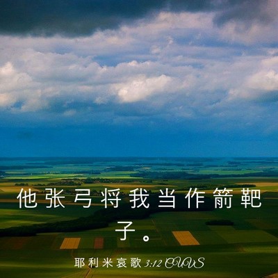 Picture 03 - 耶 利 米 哀 歌 3:12 CUVS - 他 张 弓 将 我 当 作 箭 靶 子 - Bible Verse Picture