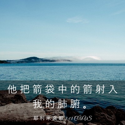 Picture 03 - 耶 利 米 哀 歌 3:13 CUVS - 他 把 箭 袋 中 的 箭 射 入 我 的 肺 - Bible Verse Picture