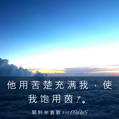 Picture 03 - 耶 利 米 哀 歌 3:15 CUVS - 他 用 苦 楚 充 满 我 ， 使 我 饱 用 - Bible Verse Picture