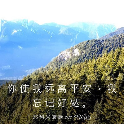 Picture 03 - 耶 利 米 哀 歌 3:17 CUVS - 你 使 我 远 离 平 安 ， 我 忘 记 好 - Bible Verse Picture