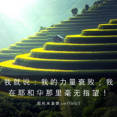 Picture 03 - 耶 利 米 哀 歌 3:18 CUVS - 我 就 说 ： 我 的 力 量 衰 败 ； 我 - Bible Verse Picture